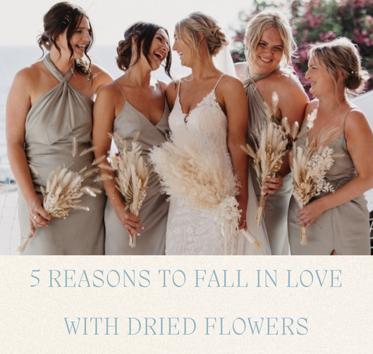 5 Reasons to Fall in Love with Dried Flowers