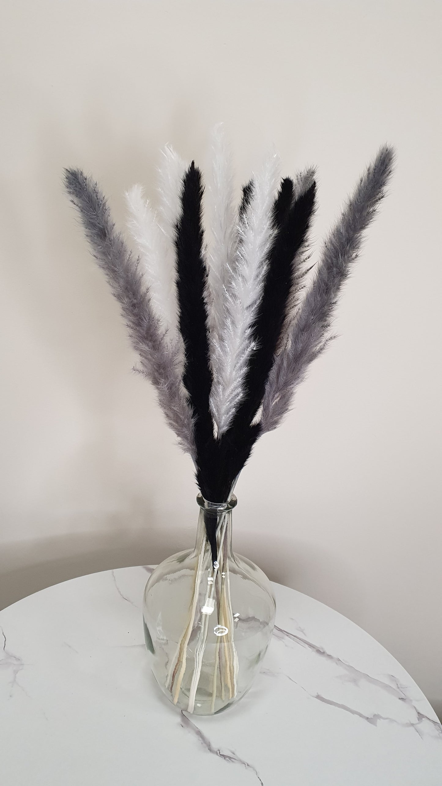White, Grey, Black Pampas Grass 60cm - 15 Stems