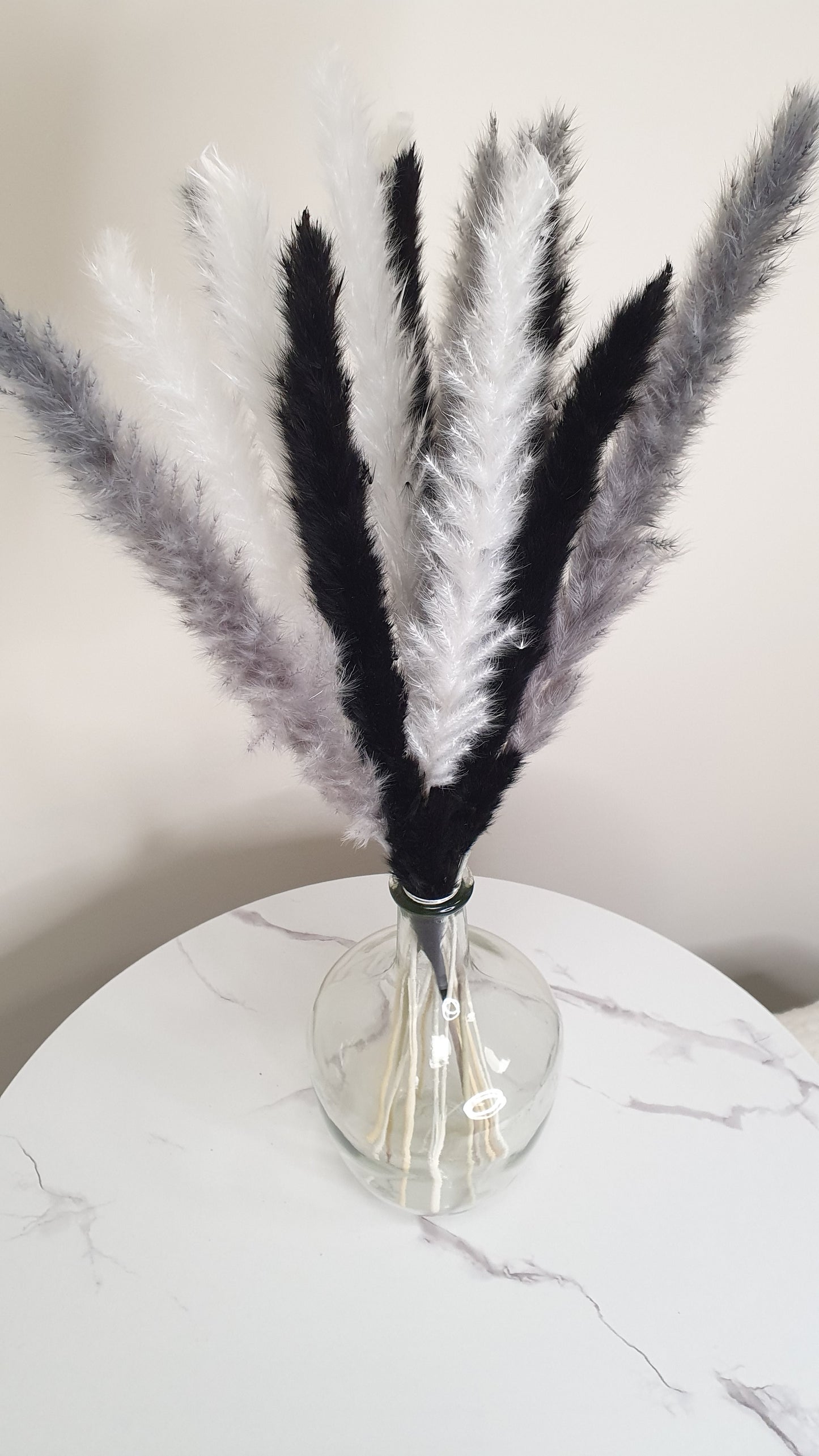 White, Grey, Black Pampas Grass 60cm - 15 Stems