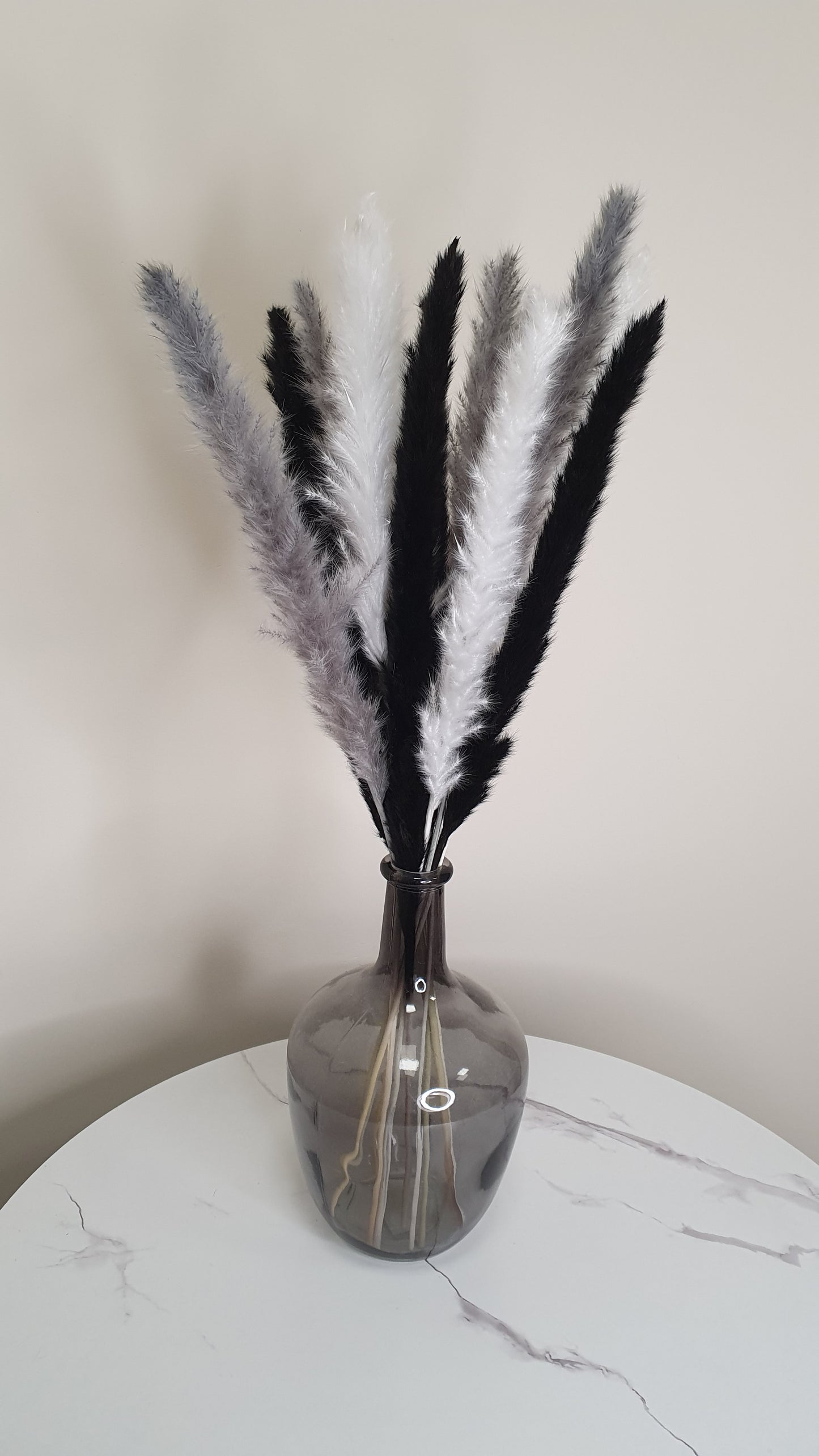 White, Grey, Black Pampas Grass 60cm - 15 Stems