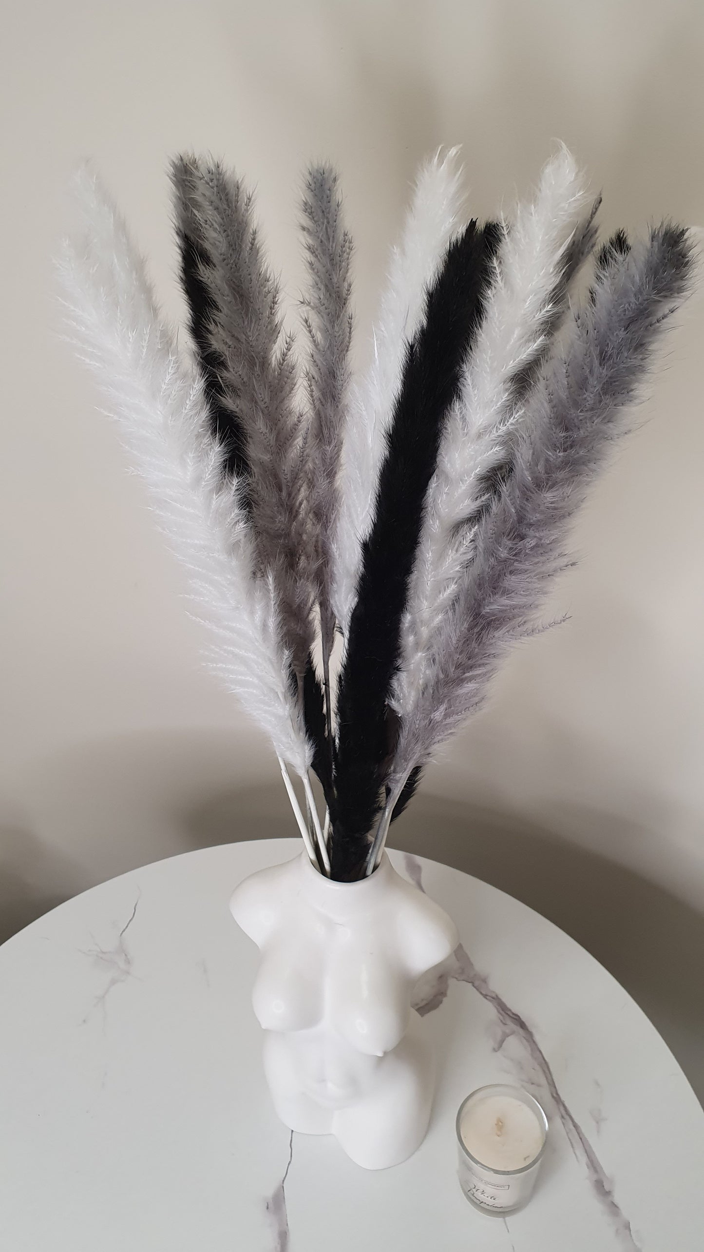 White, Grey, Black Pampas Grass 60cm - 15 Stems