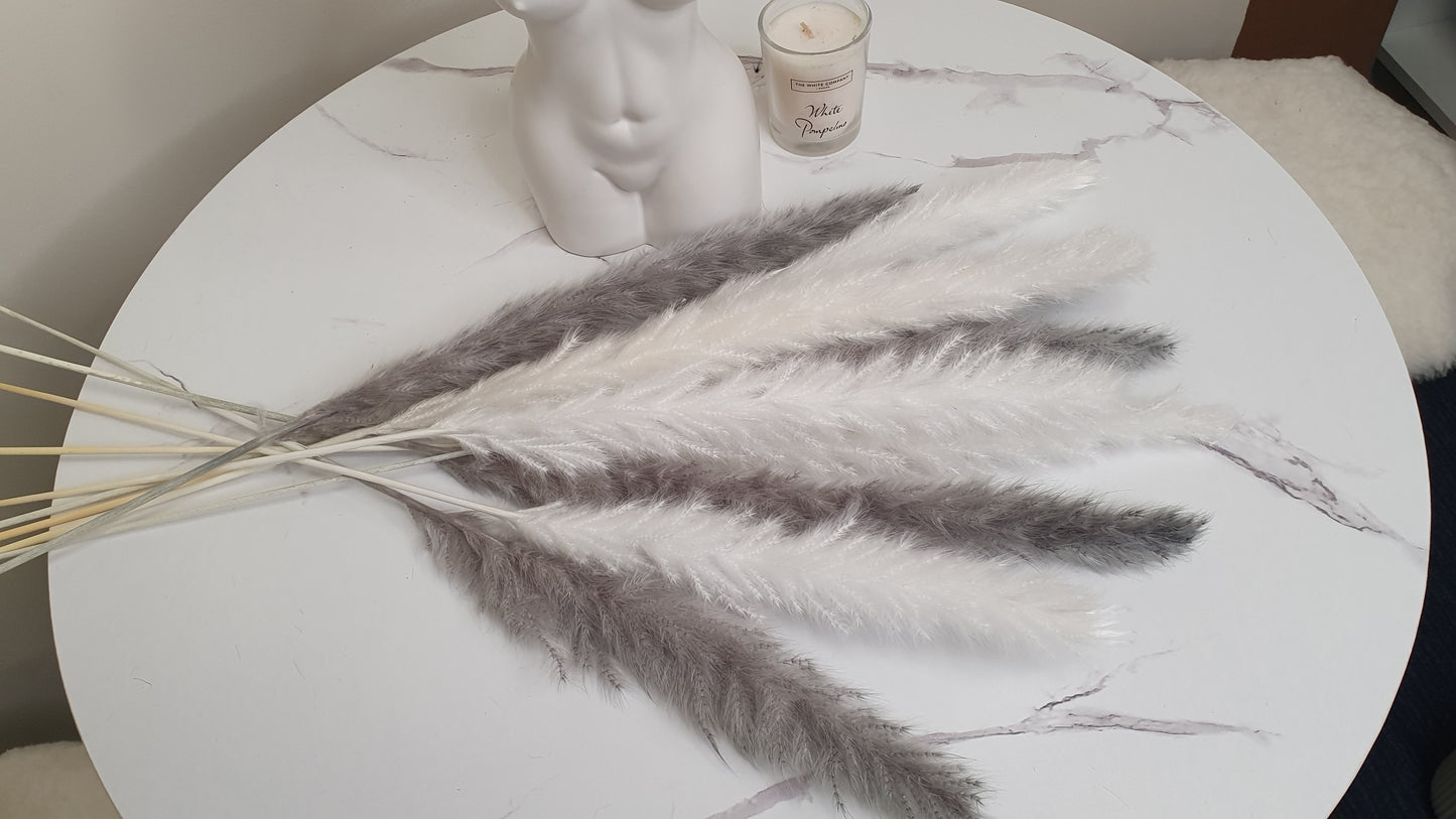 White & Grey Pampas Grass 60cm - 16 Stems