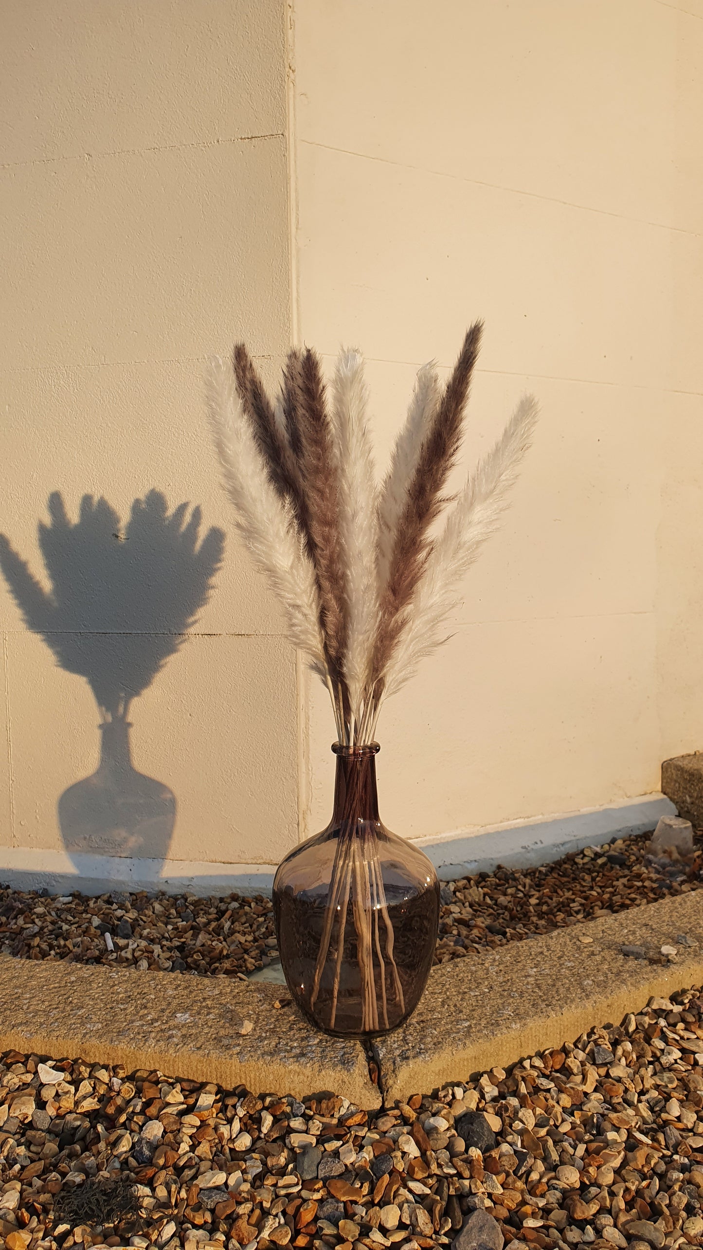 White & Grey Pampas Grass 60cm - 16 Stems