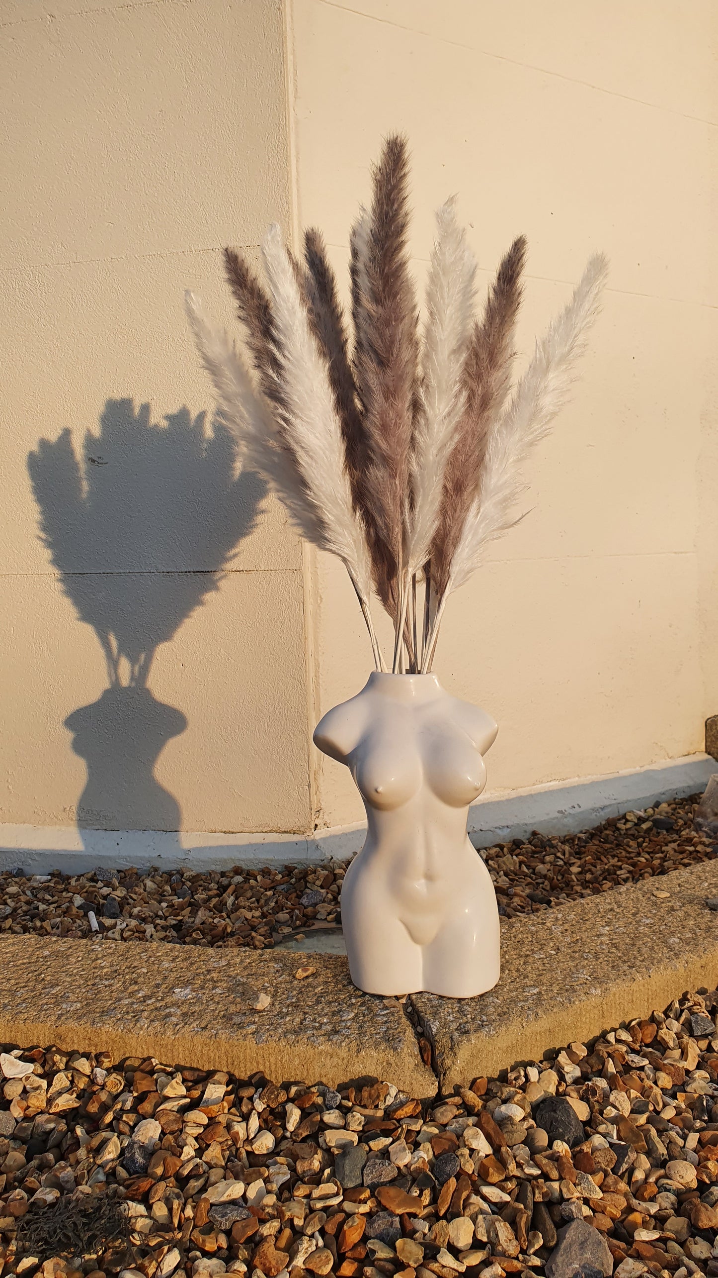 White & Grey Pampas Grass 60cm - 16 Stems