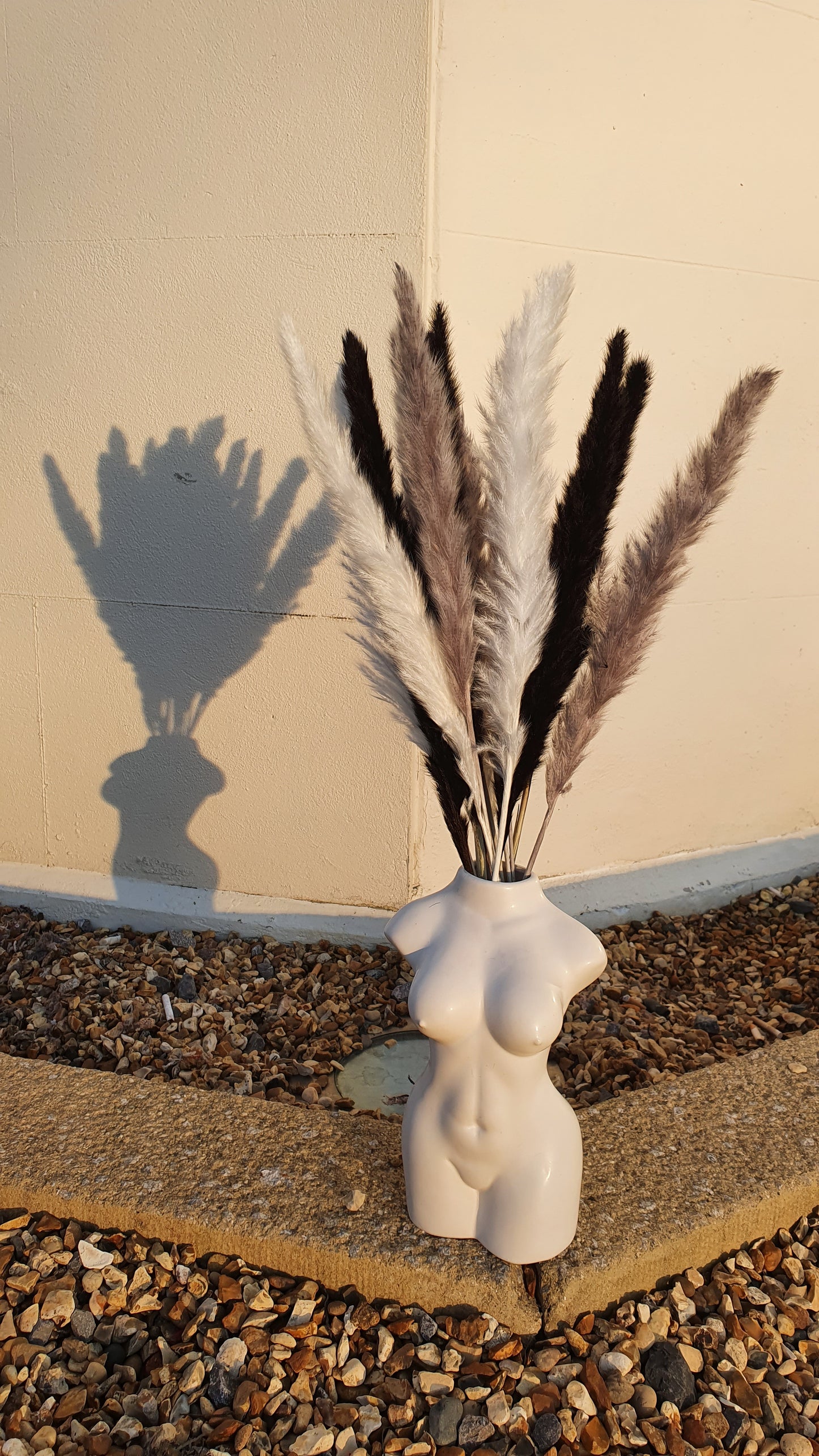 White, Grey, Black Pampas Grass 60cm - 15 Stems
