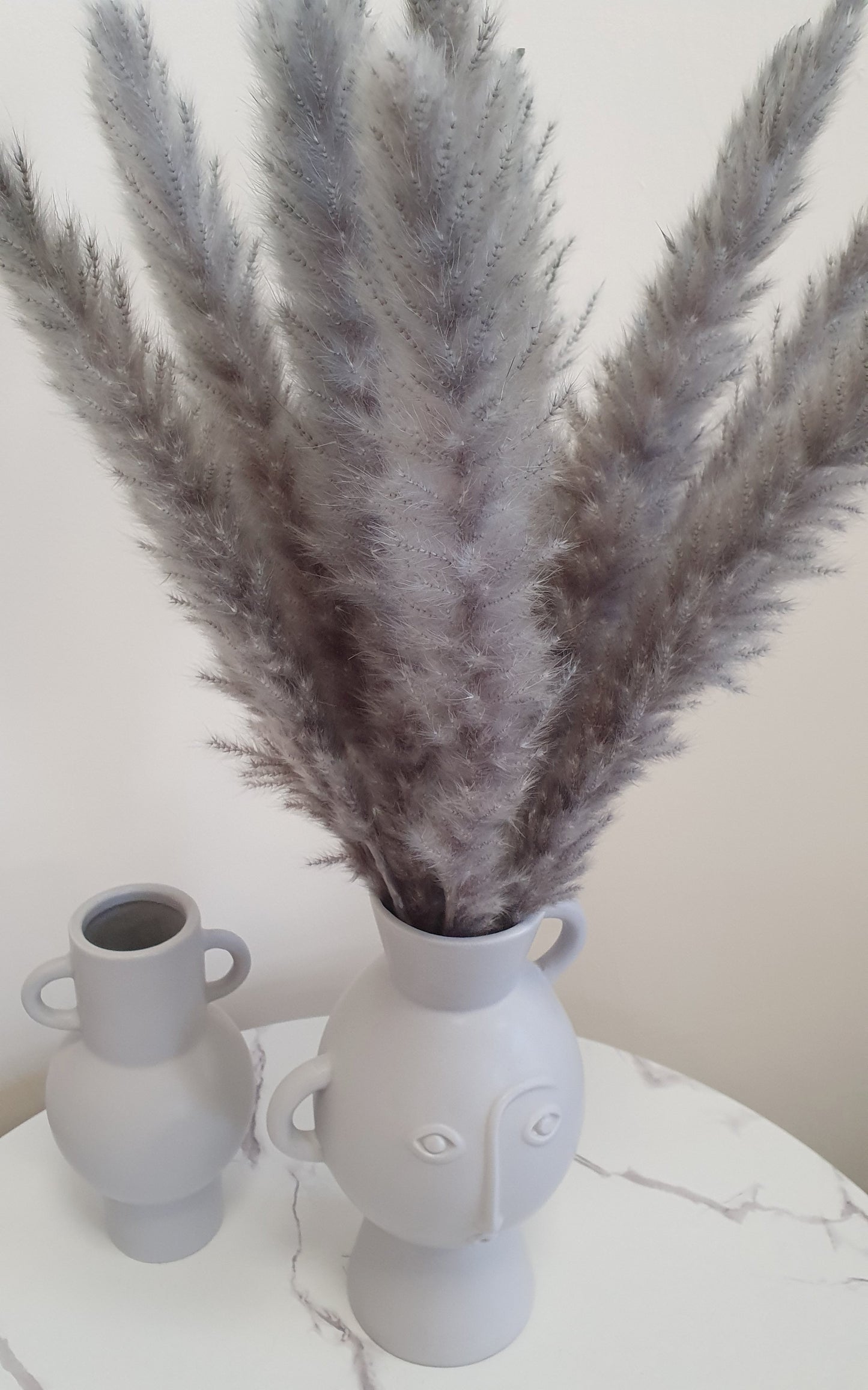 Light Grey Pampas Grass