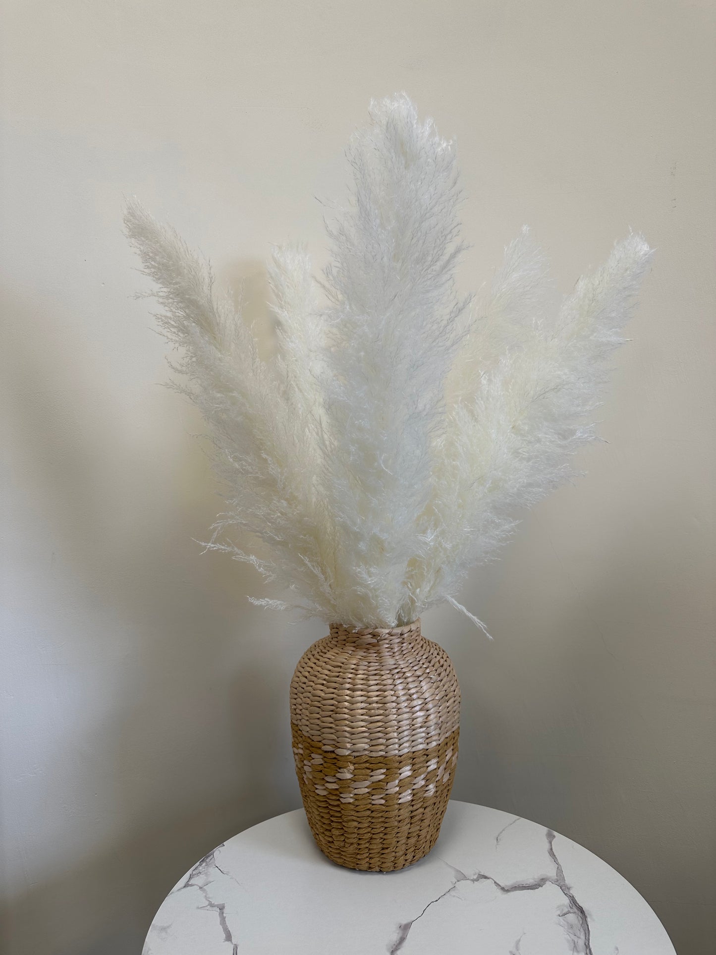 XL White Pampas Grass 100cm Tall