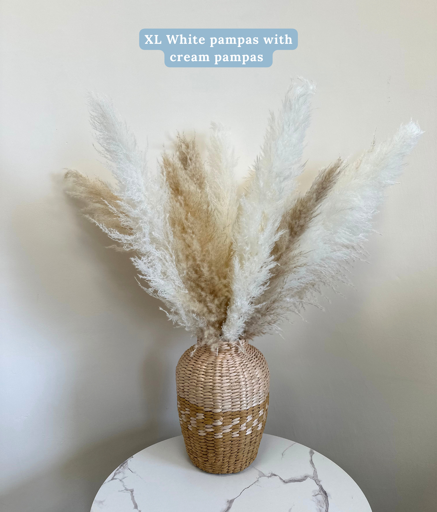XL White Pampas Grass 100cm Tall