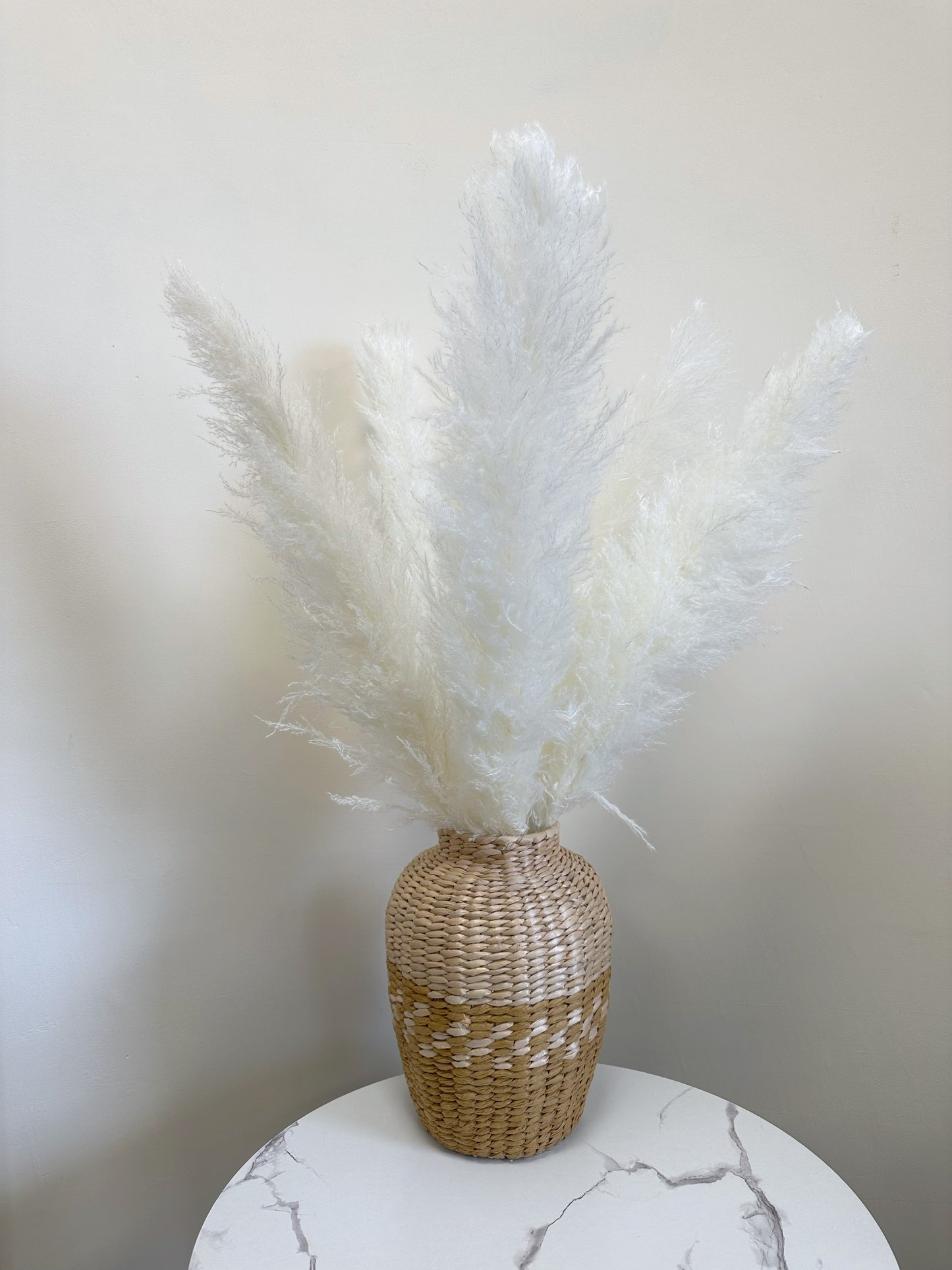 XL White Pampas Grass 100cm Tall