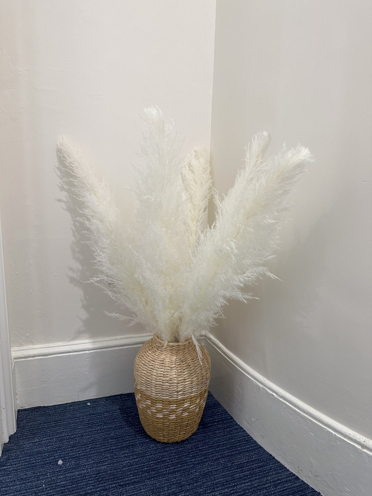 XL White Pampas Grass 100cm Tall