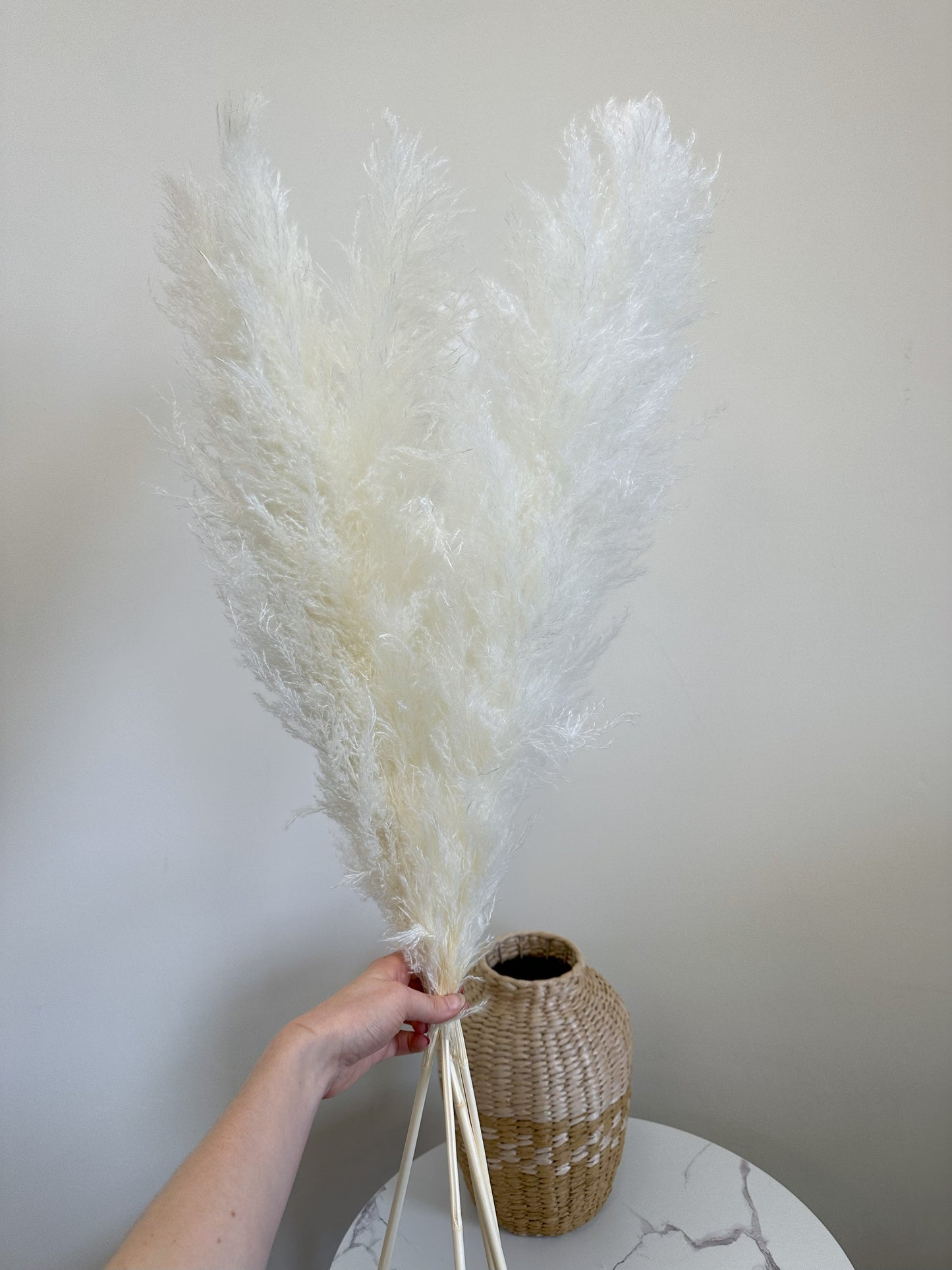 XL White Pampas Grass 100cm Tall