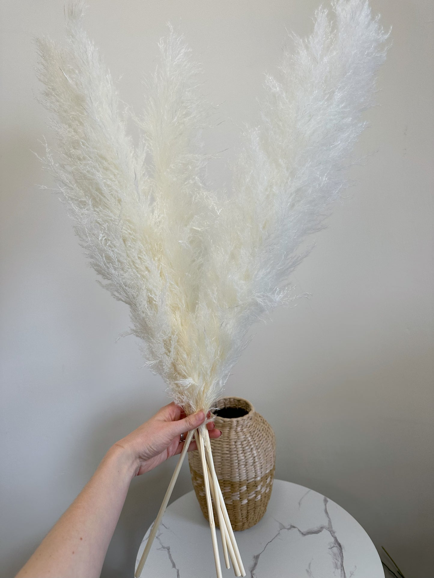 XL White Pampas Grass 100cm Tall