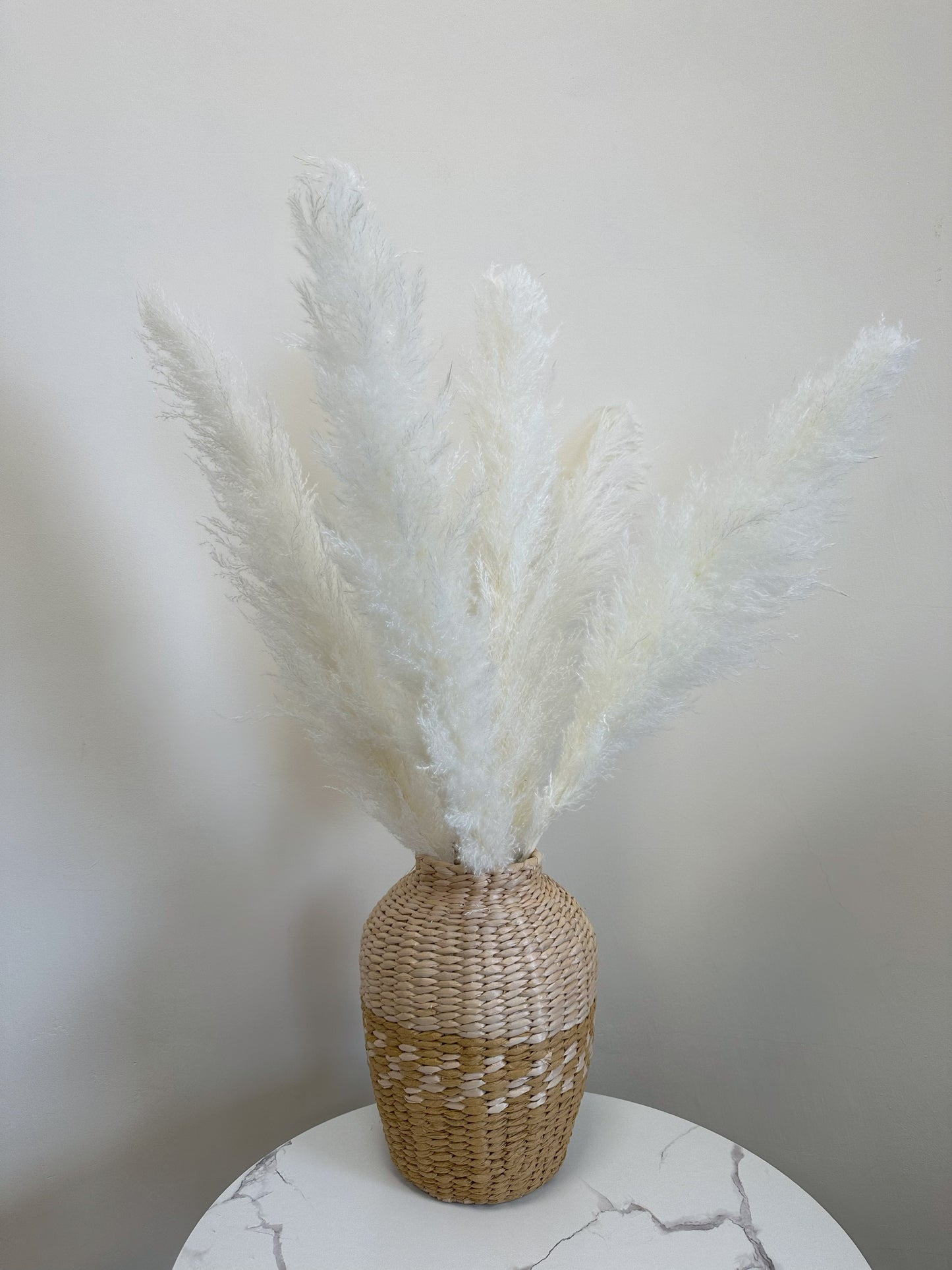 XL White Pampas Grass 100cm Tall