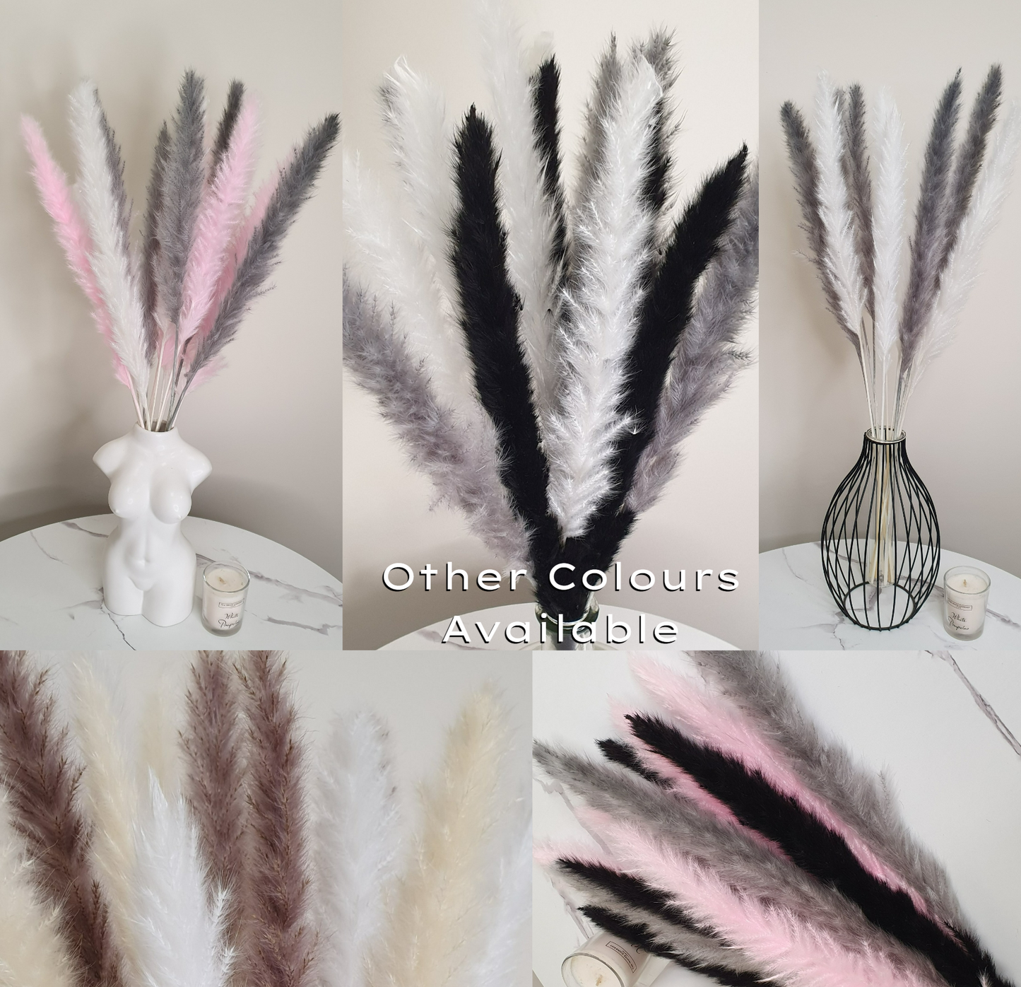 White, Grey, Black Pampas Grass 60cm - 15 Stems