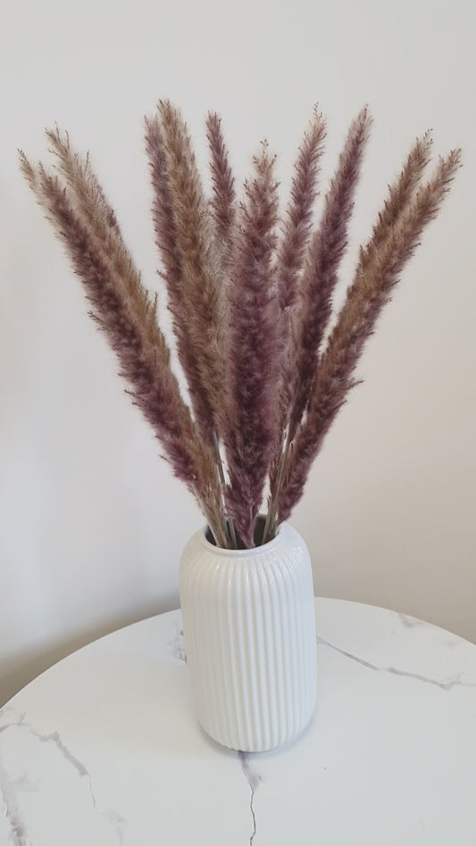 Natural Brown Pampas Grass