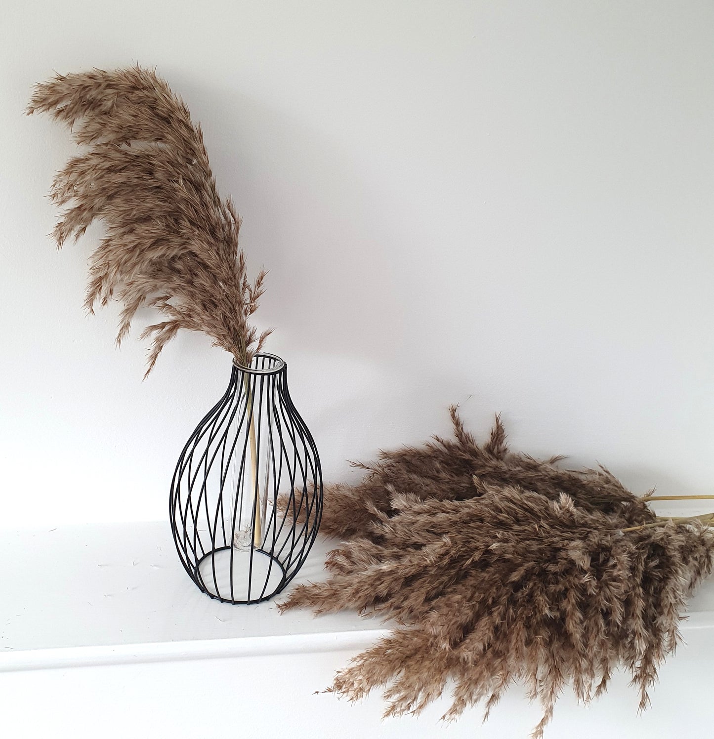Wild Fluffy Pampas - Brown