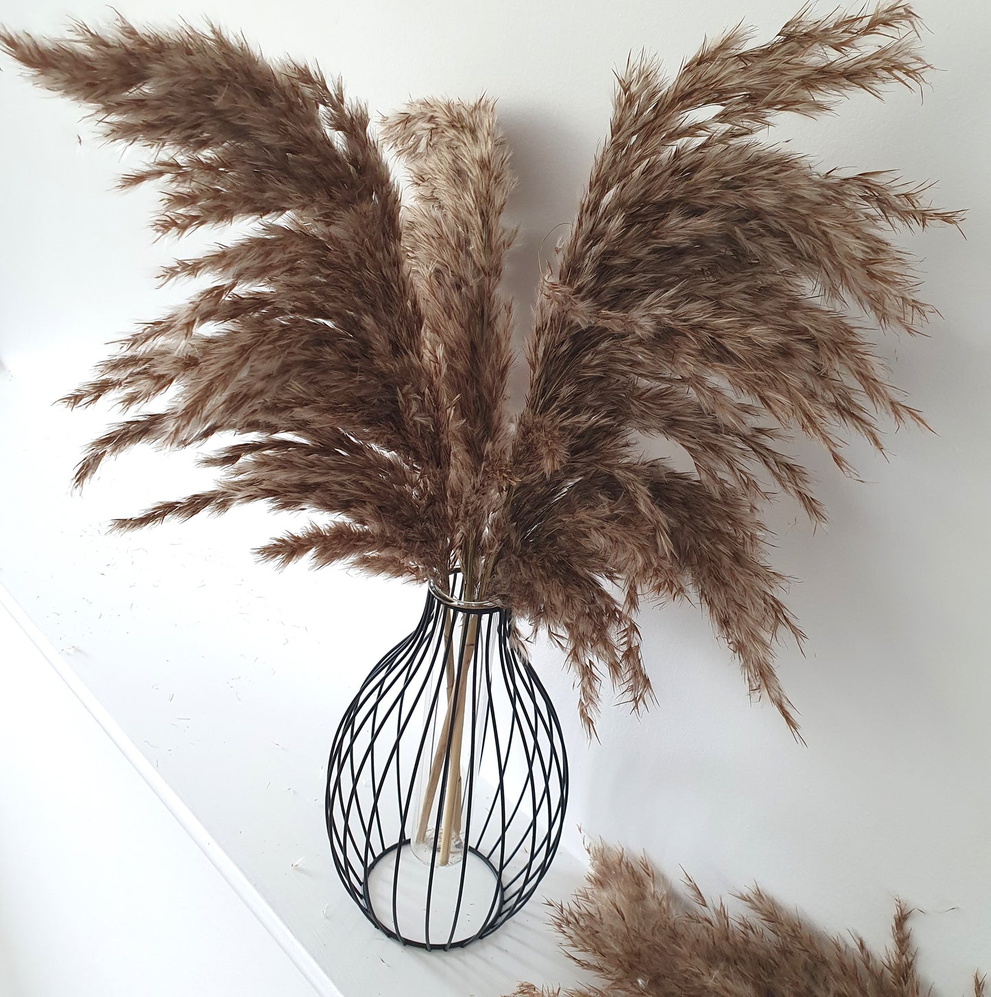 Wild Fluffy Pampas - Brown