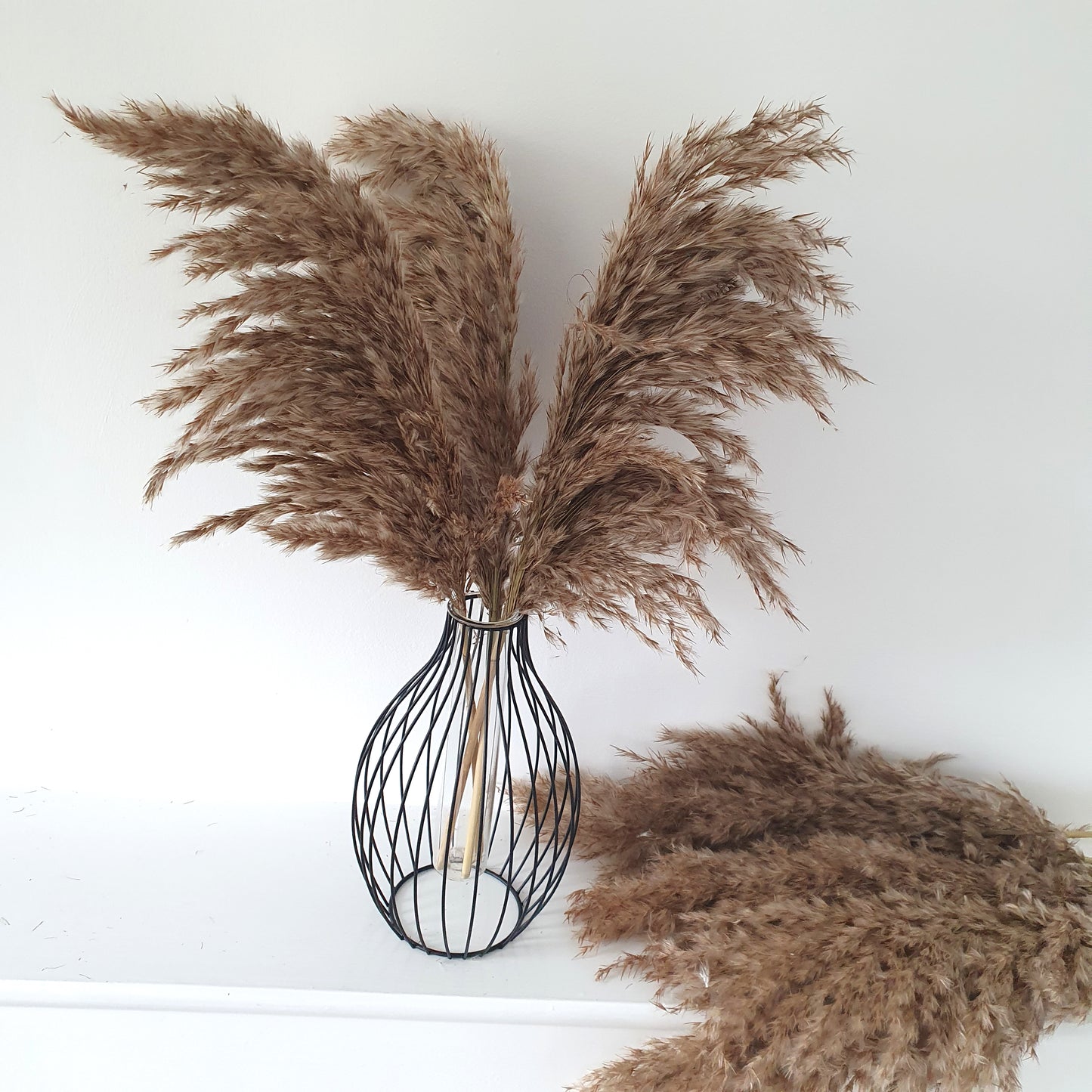 Wild Fluffy Pampas - Brown