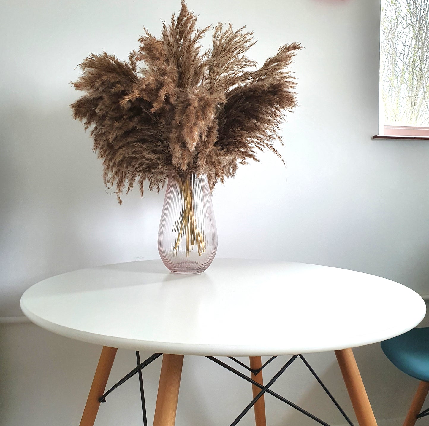 Wild Fluffy Pampas - Brown
