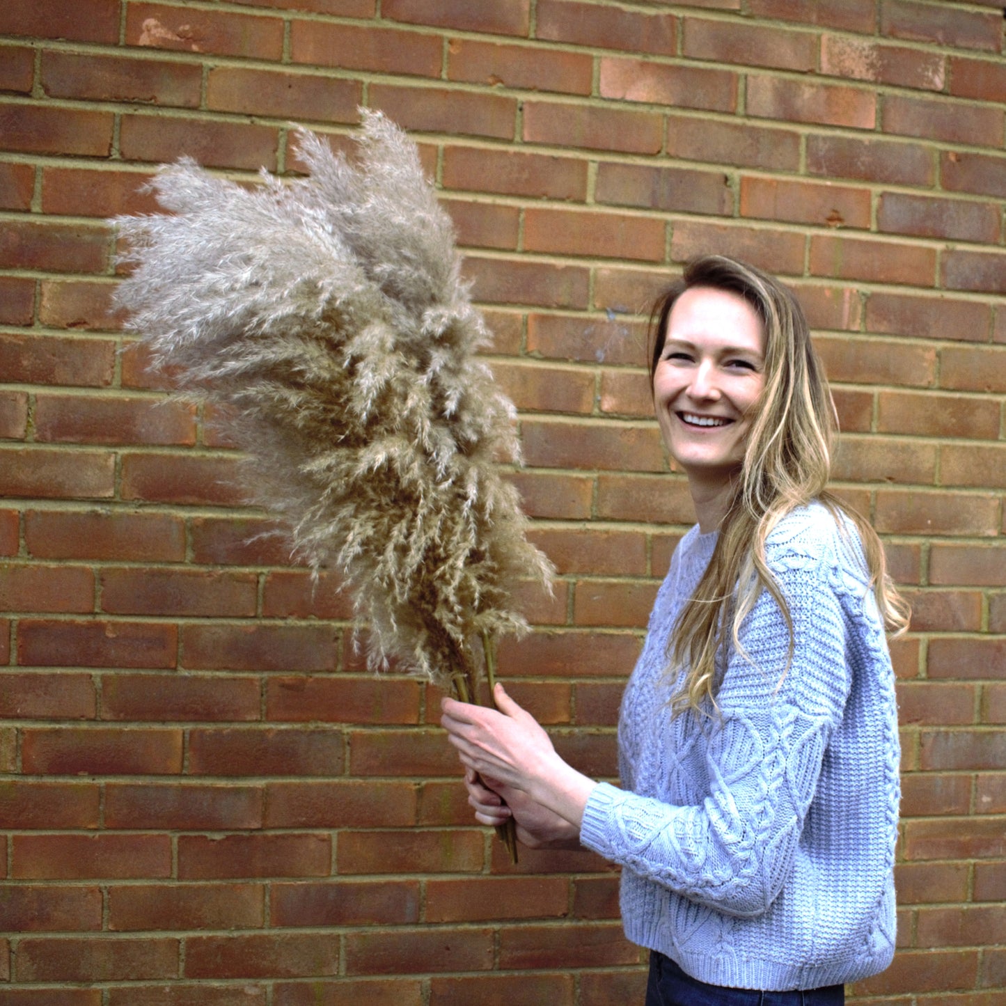 XL Fluffy Natural Pampas Grass