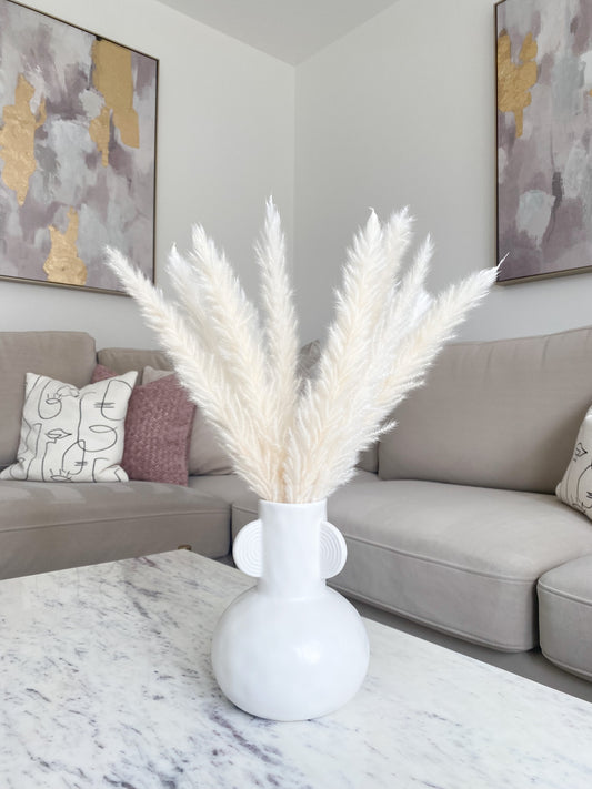 Small White Pampas Grass
