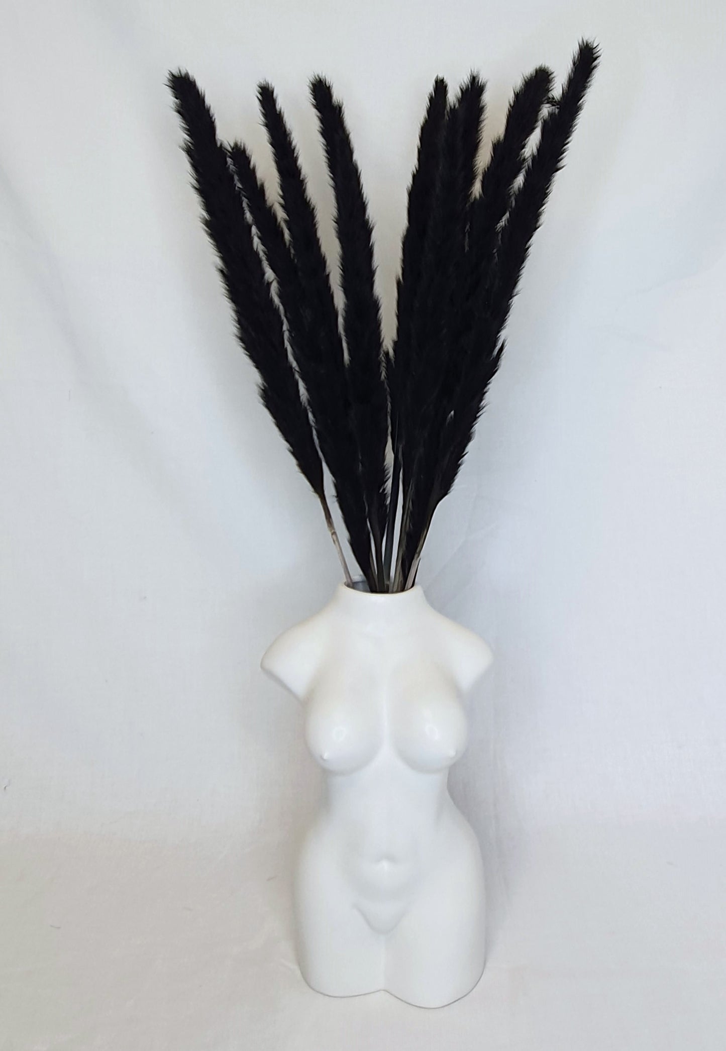 Small Black Pampas Grass