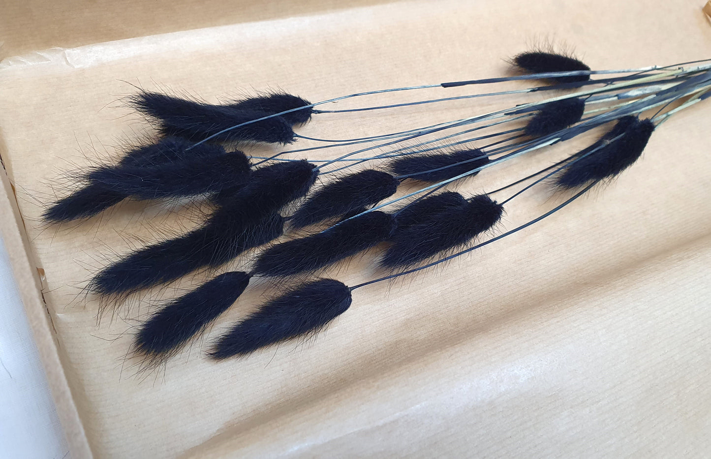 Black Bunny Tails