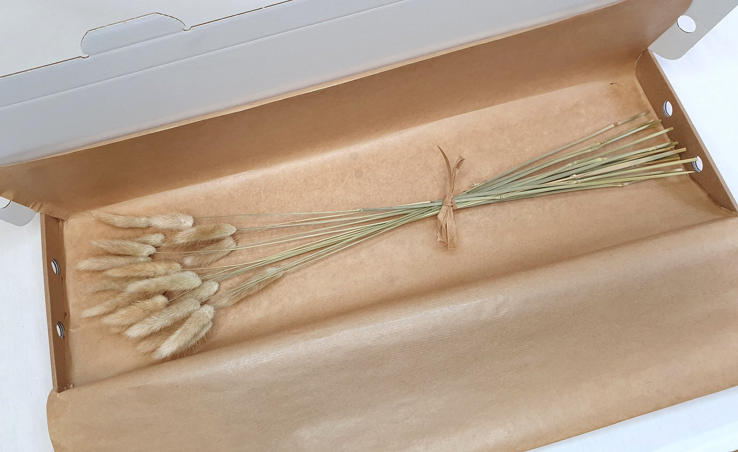 Natural Bunny Tails