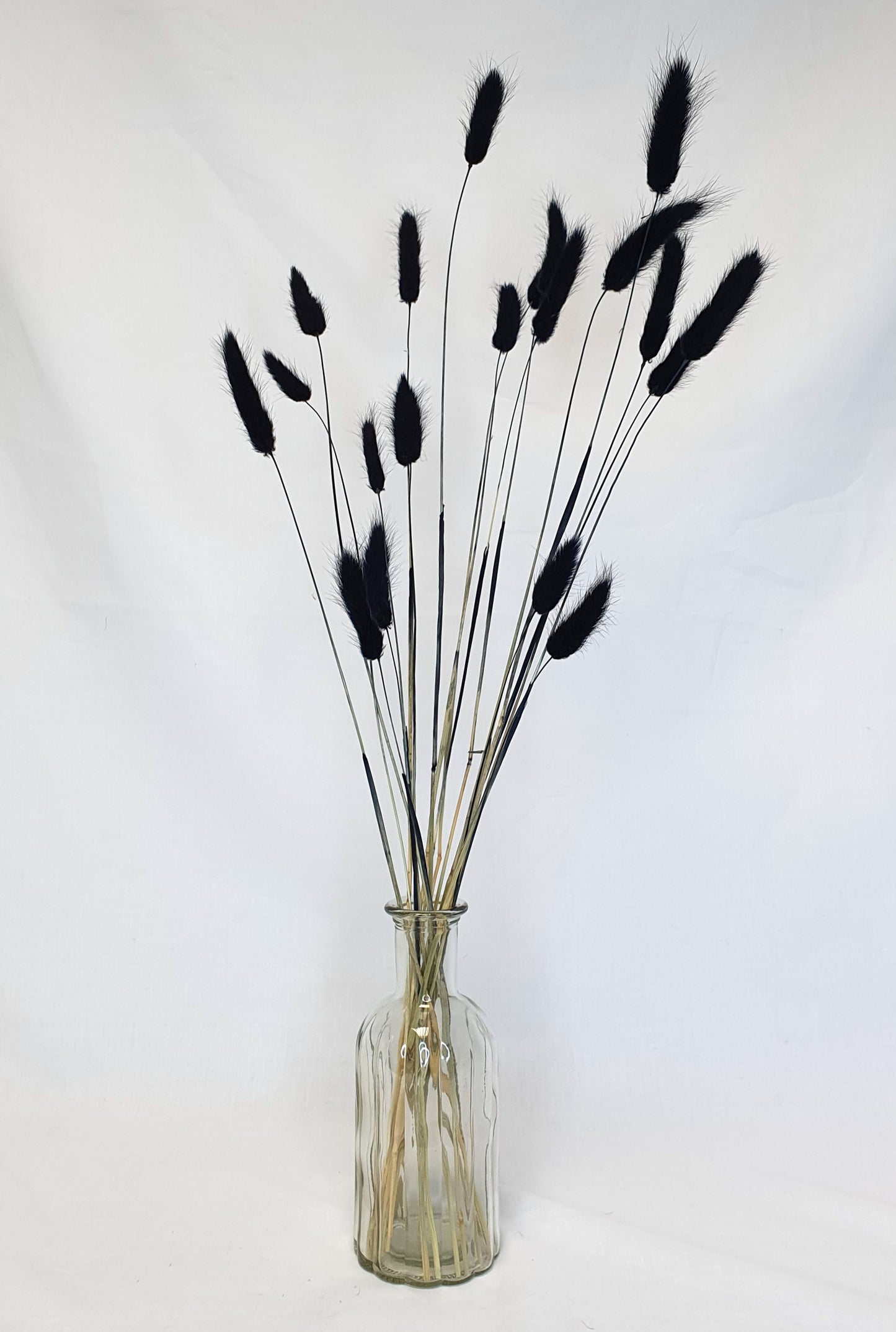 Black Bunny Tails