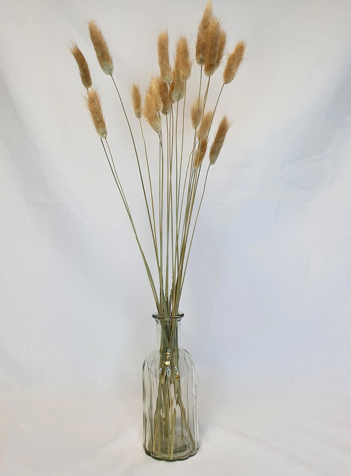 Natural Bunny Tails