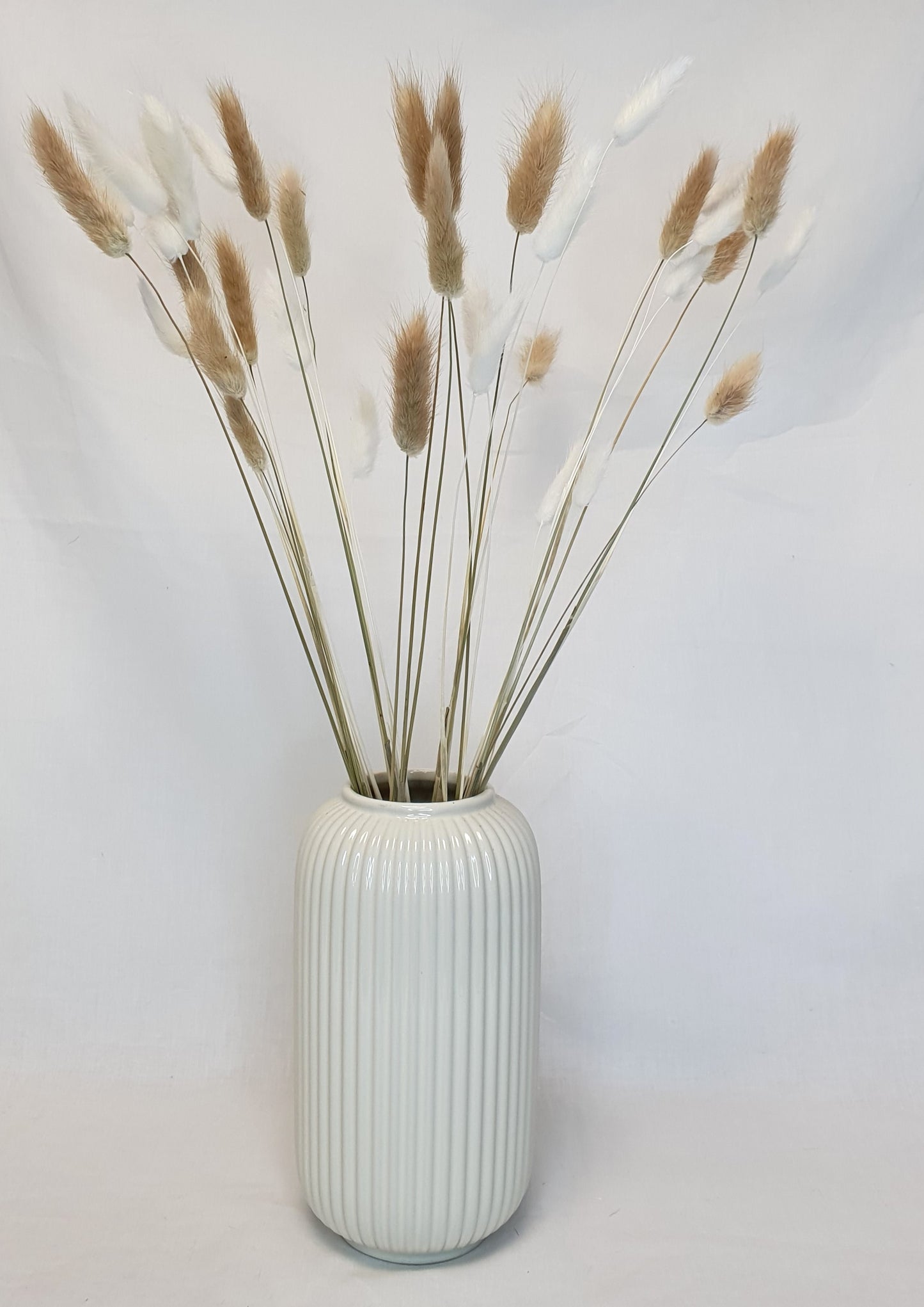 White Bunny Tails