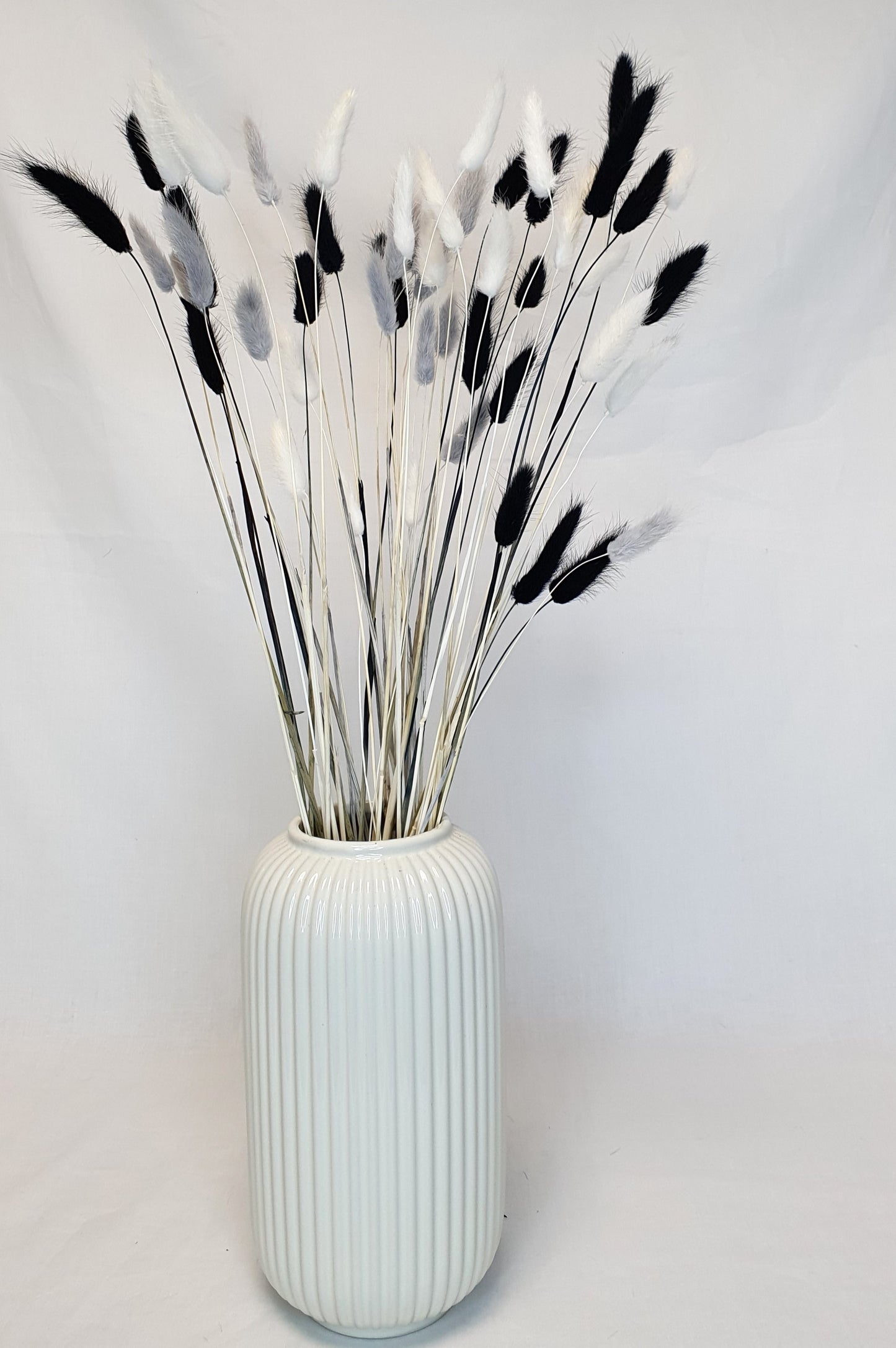 White Bunny Tails