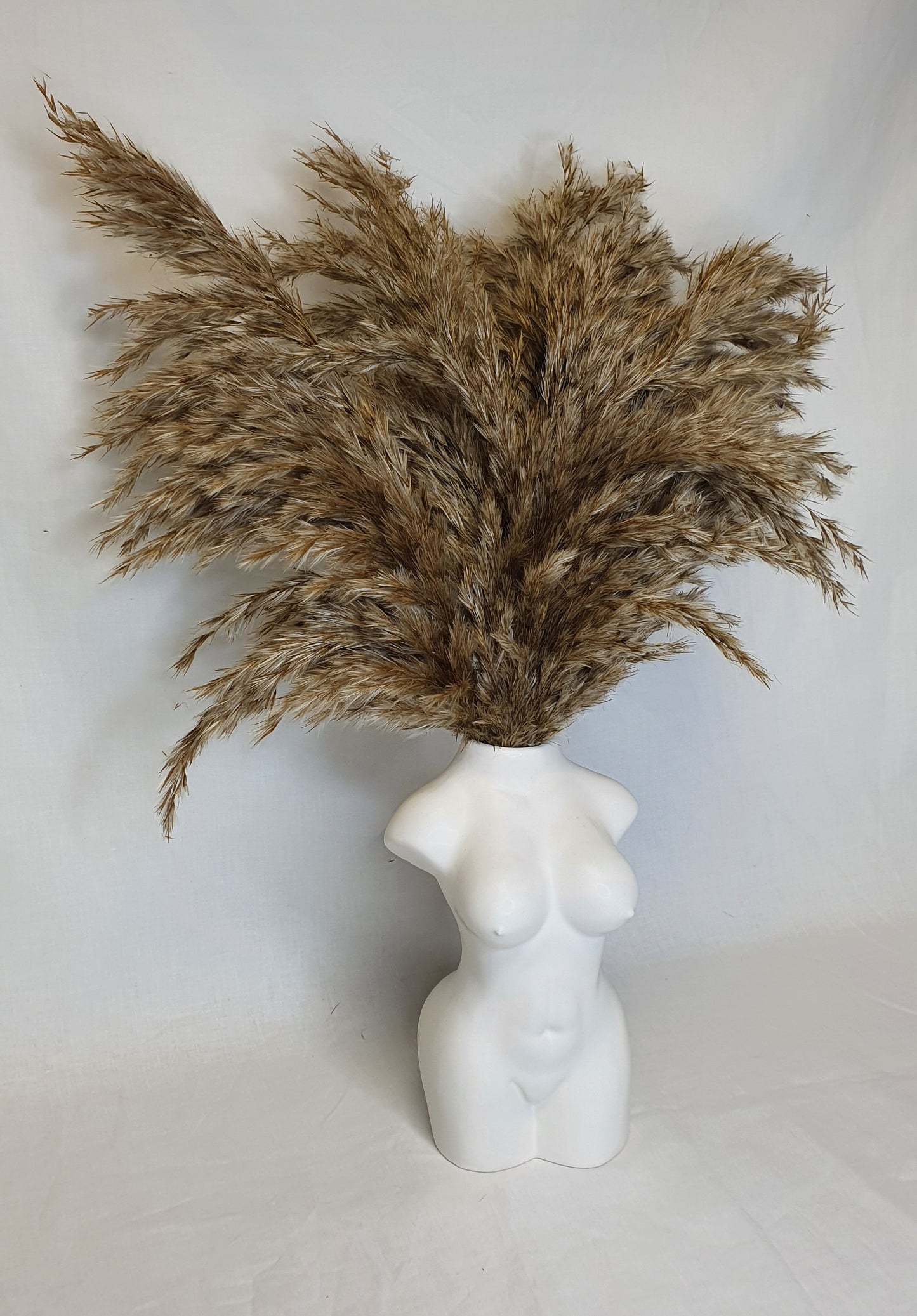 Wild Fluffy Pampas - Brown