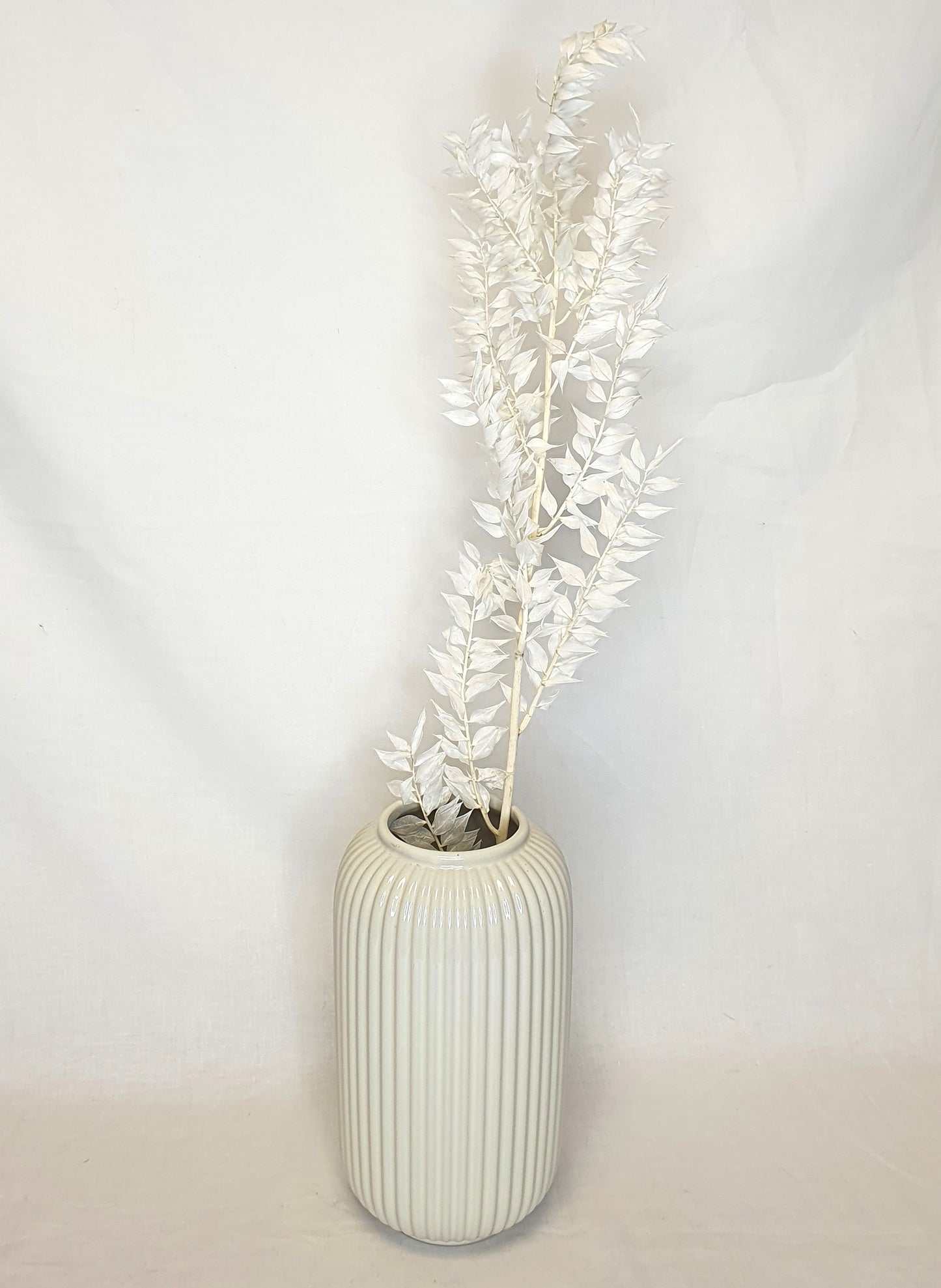 Bleached White Ruscus Stems