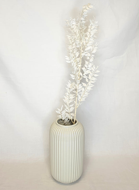 Bleached White Ruscus Stems