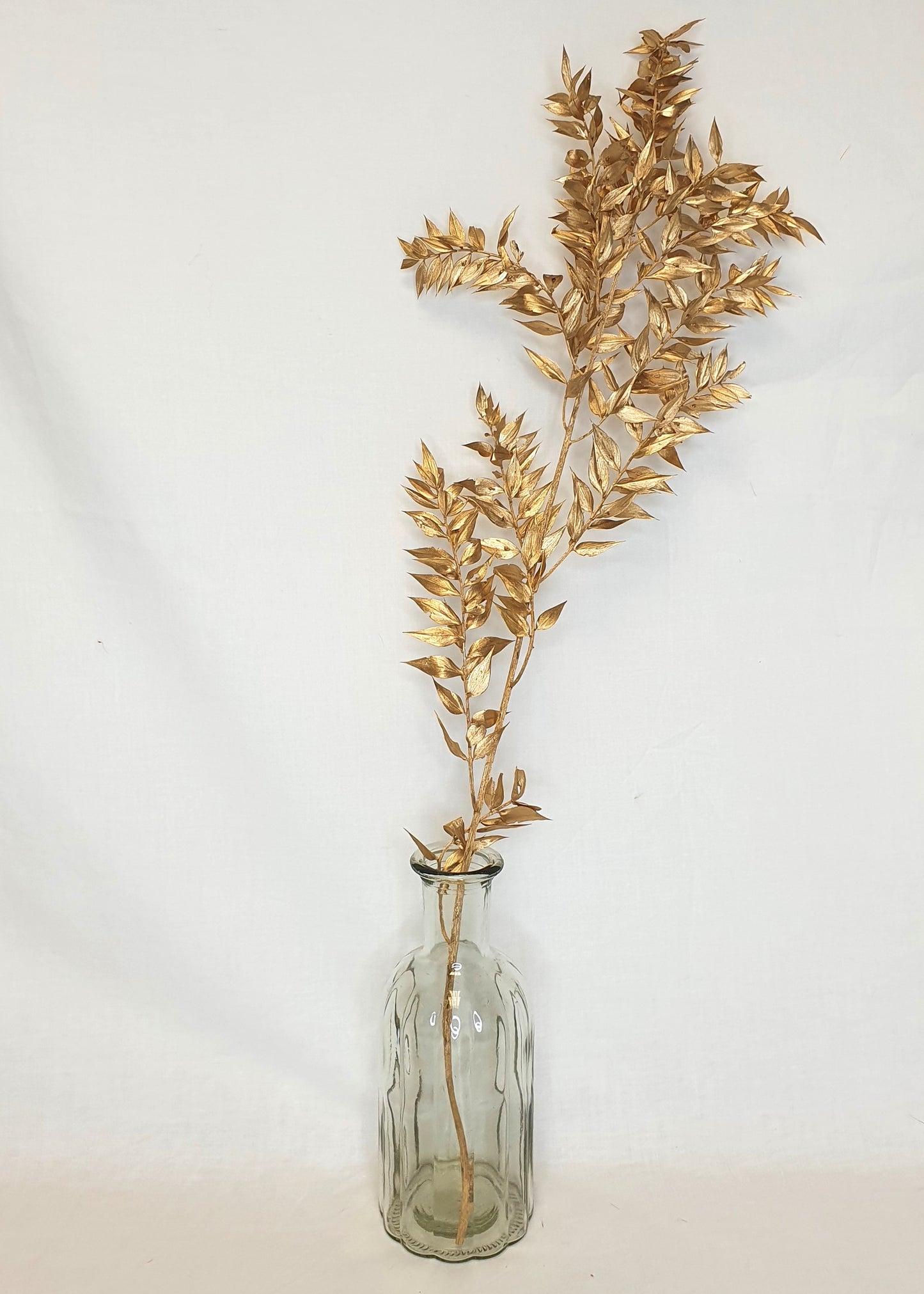 Gold Ruscus Stems