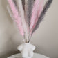 White, Pink & Grey Pampas Grass 60cm - 15 Stems