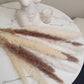 White, Cream & Brown Pampas Grass 60cm - 15 Stems