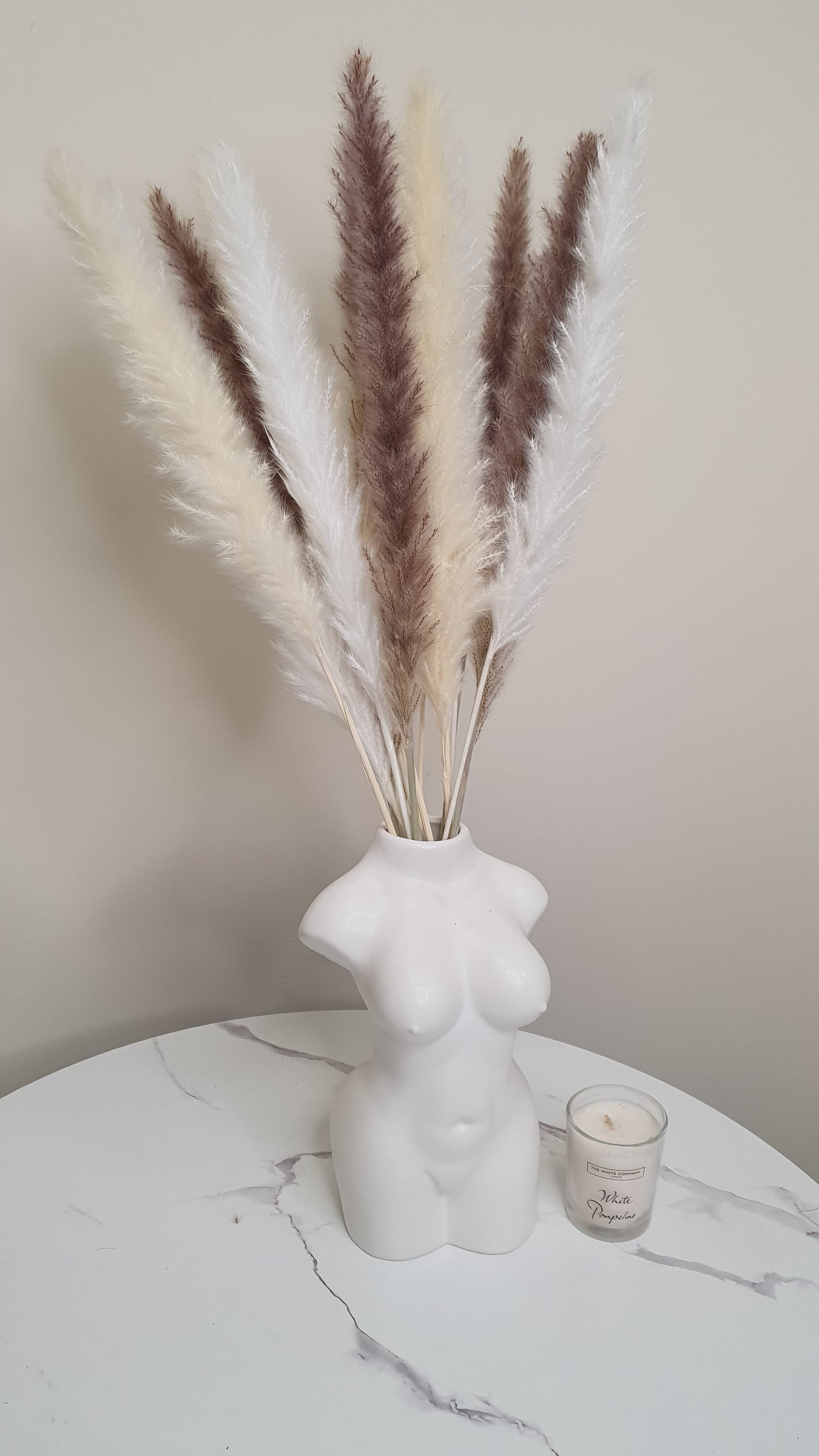 White, Cream & Brown Pampas Grass 60cm - 15 Stems