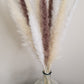 White, Cream & Brown Pampas Grass 60cm - 15 Stems