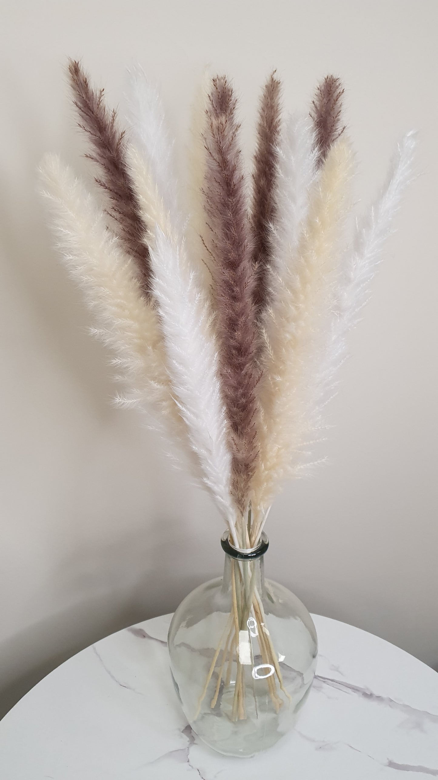 White, Cream & Brown Pampas Grass 60cm - 15 Stems