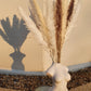 White, Cream & Brown Pampas Grass 60cm - 15 Stems