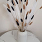 Pampas Grass & Bunny Tails Bundle - White, Black & Brown