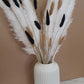 Pampas Grass & Bunny Tails Bundle - White, Black & Brown