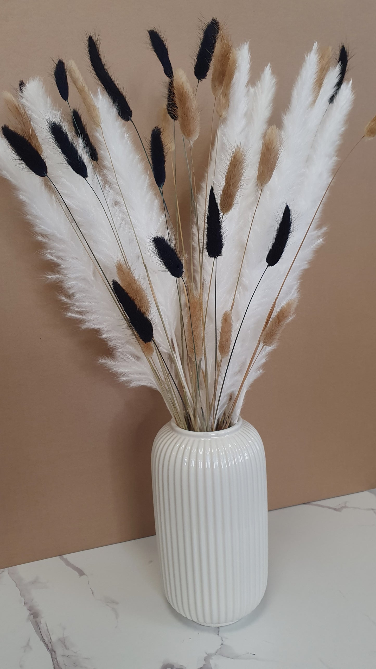 Pampas Grass & Bunny Tails Bundle - White, Black & Brown