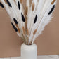 Pampas Grass & Bunny Tails Bundle - White, Black & Brown