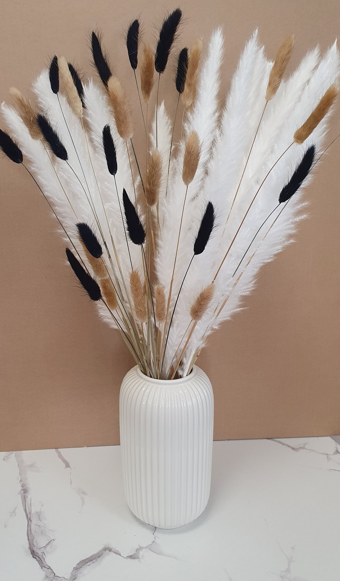 Pampas Grass & Bunny Tails Bundle - White, Black & Brown