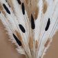 Pampas Grass & Bunny Tails Bundle - White, Black & Brown