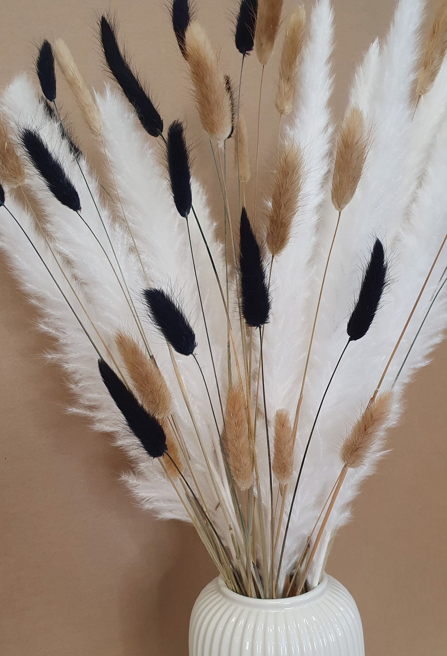 Pampas Grass & Bunny Tails Bundle - White, Black & Brown