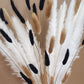 Pampas Grass & Bunny Tails Bundle - White, Black & Brown